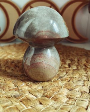 Champignon Jaspe polychrome