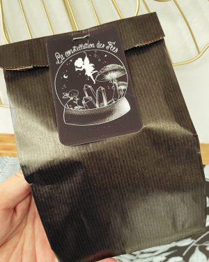Pochette Surprise de 10 citrouilles