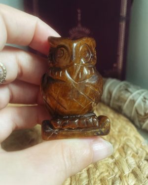 Hibou Oeil de tigre