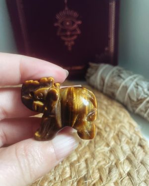 Éléphant œil de tigre